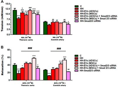 Therapeutic Potential of Stem Cell-Derived Extracellular Vesicles on Atherosclerosis-Induced Vascular Dysfunction and Its Key Molecular Players